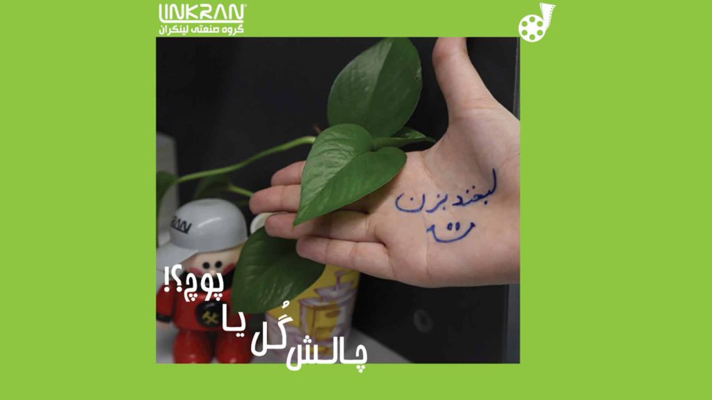 چالش گل یا پوچ