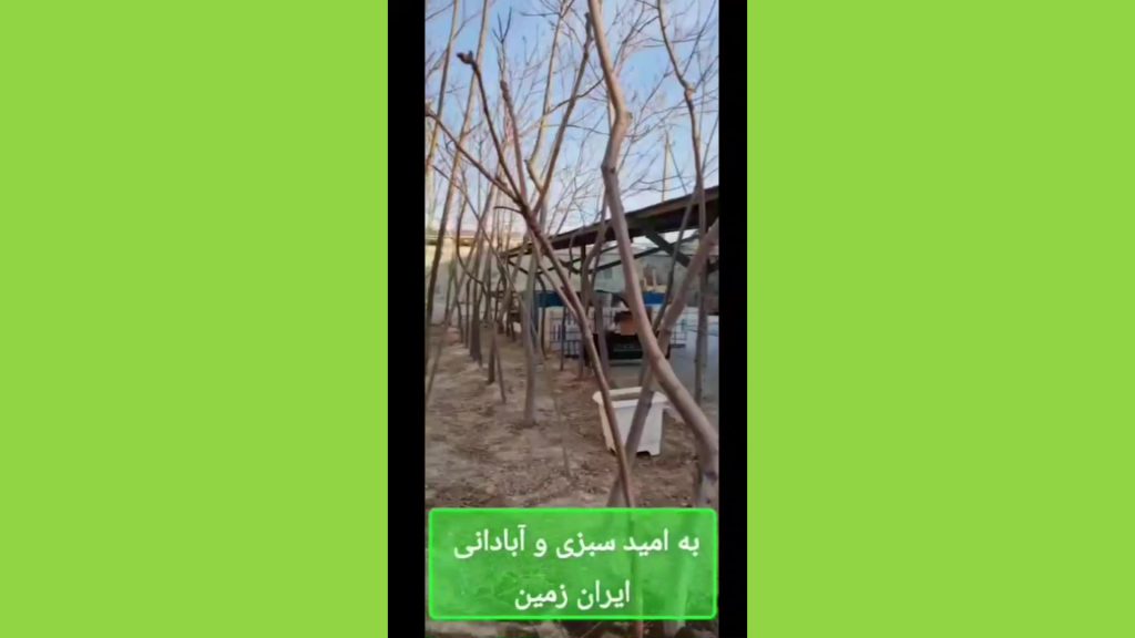روز درختکاری سال ۱۴۰۳